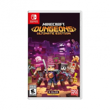 Juego Nintendo Minecraft Dungeons Hero