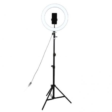 Aro led Sate 10'' A-MK04
